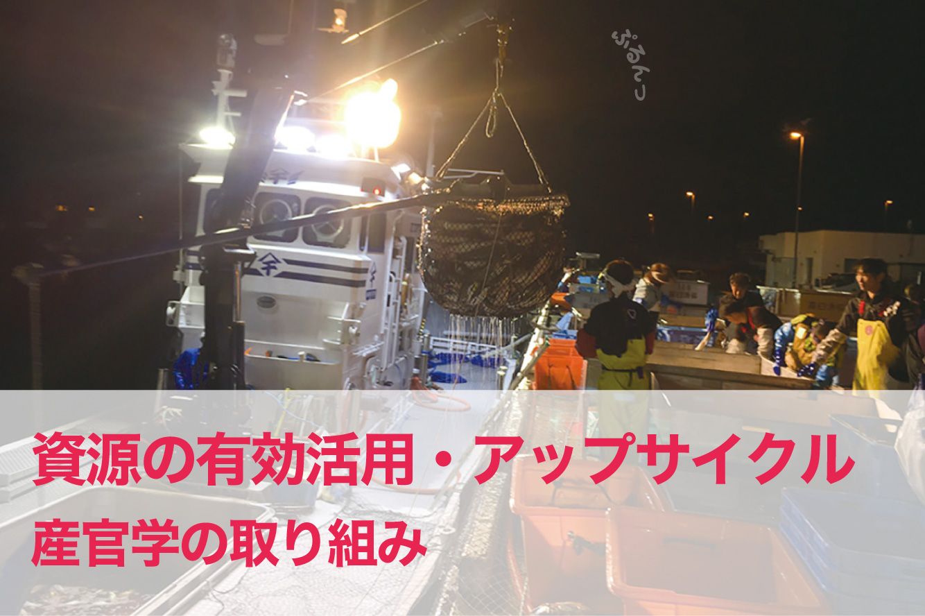 SDGs対応 天然素材
BSB Innovation Award 2025 環境部門にて受賞