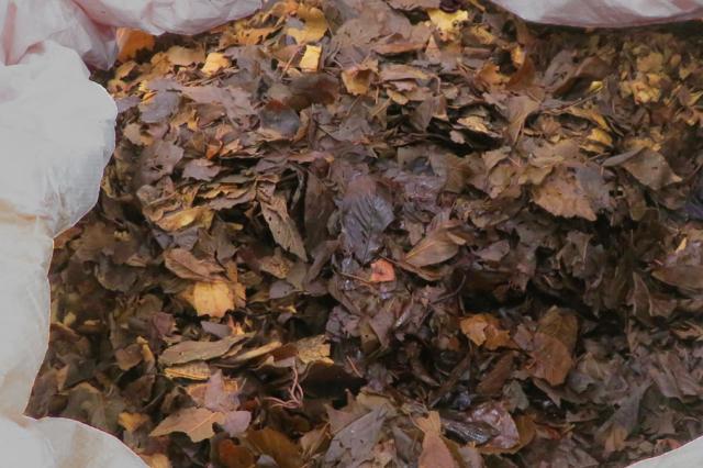 植物抽出残渣の有効活用